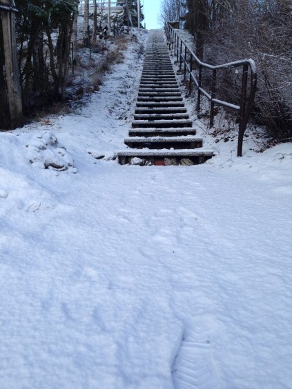 outdoor training utomhuspass stockholm pt personal trainer personlig tranare kostrad