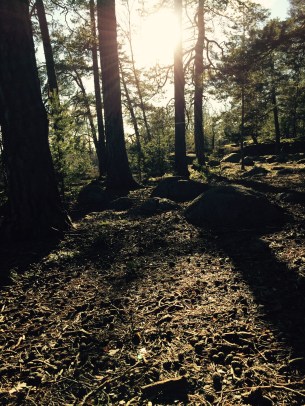 pt stockholm personlig tränare alin bistoletti