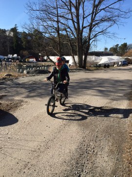 pt stockholm alin bistoletti personlig tranare kostradgivare coach