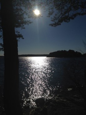 pt personlig tranare alin bistoletti coach