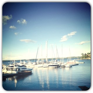 pt alin bistoletti lopning coach